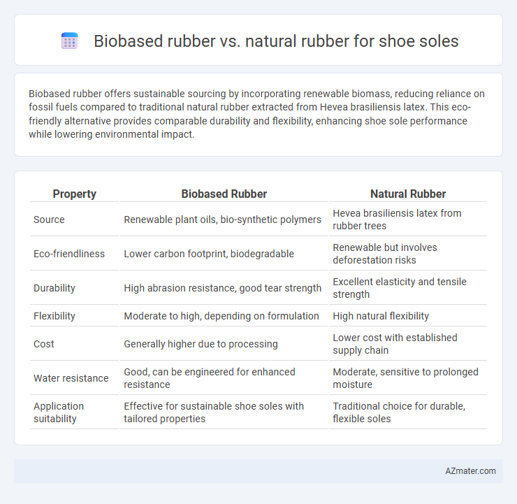 Biobased rubber vs. natural rubber for shoe soles - What is The Difference?
