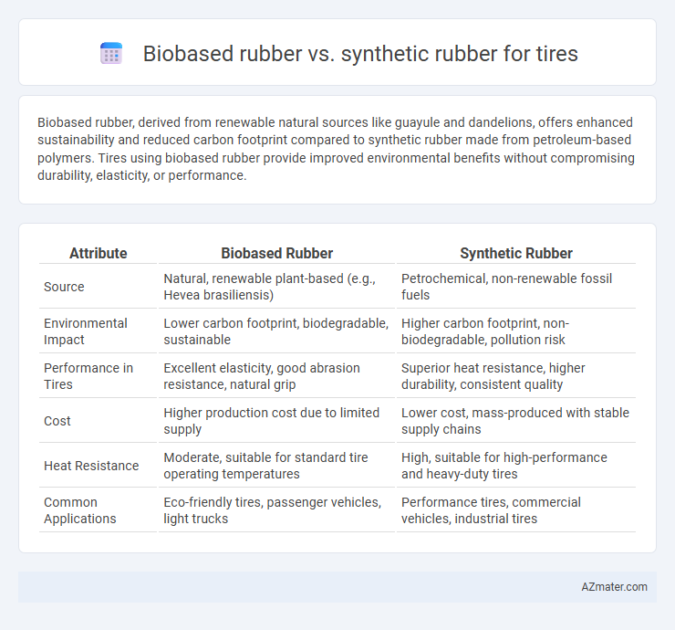 Biobased rubber vs. synthetic rubber for tires - What is The Difference?