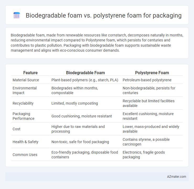 Biodegradable foam vs. polystyrene foam for packaging - What is The Difference?