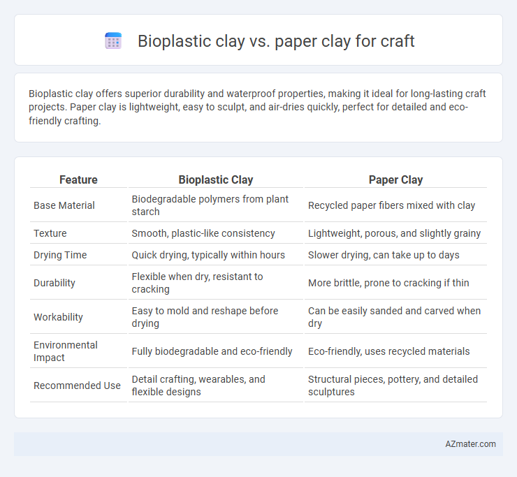 Bioplastic clay vs. paper clay for craft - What is The Difference?