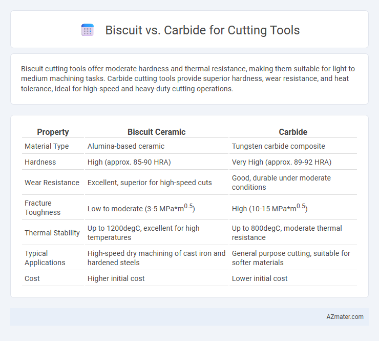 Biscuit vs. Carbide for Cutting Tools - What is The Difference?