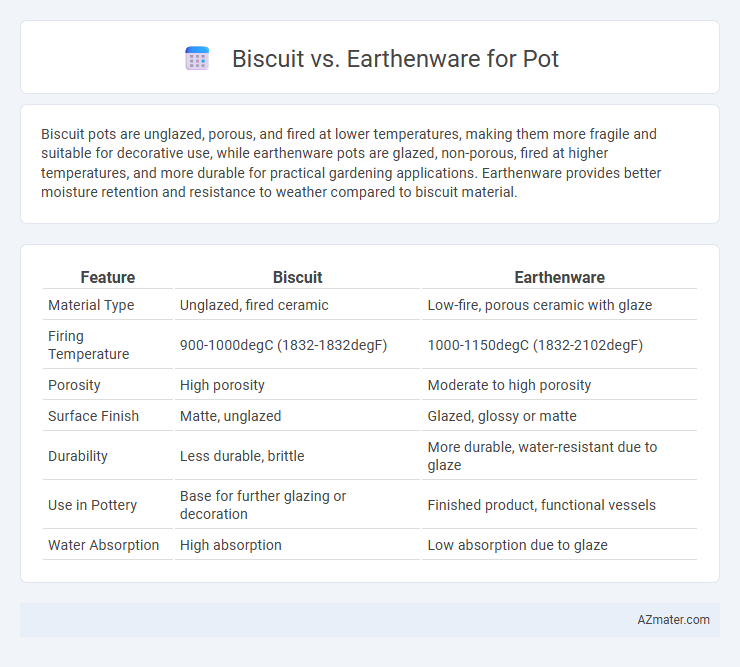 Biscuit vs. Earthenware for Pot - What is The Difference?
