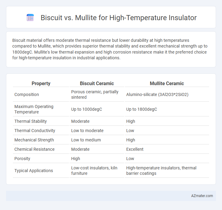 Biscuit vs. Mullite for High-Temperature Insulator - What is The Difference?