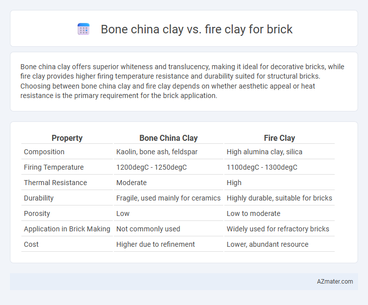Bone china clay vs. fire clay for brick - What is The Difference?