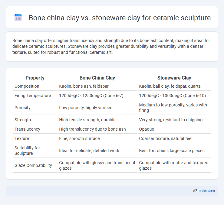 Bone china clay vs. stoneware clay for ceramic sculpture - What is The Difference?
