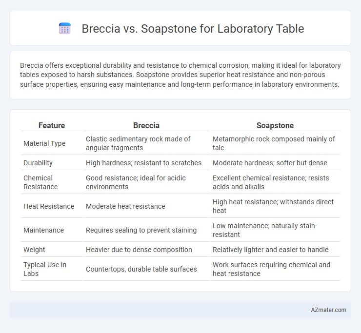 Breccia vs. Soapstone for Laboratory Table - What is The Difference?