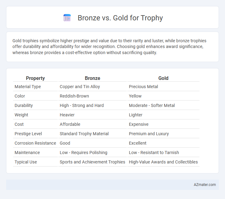 Bronze vs. Gold for Trophy - What is The Difference?