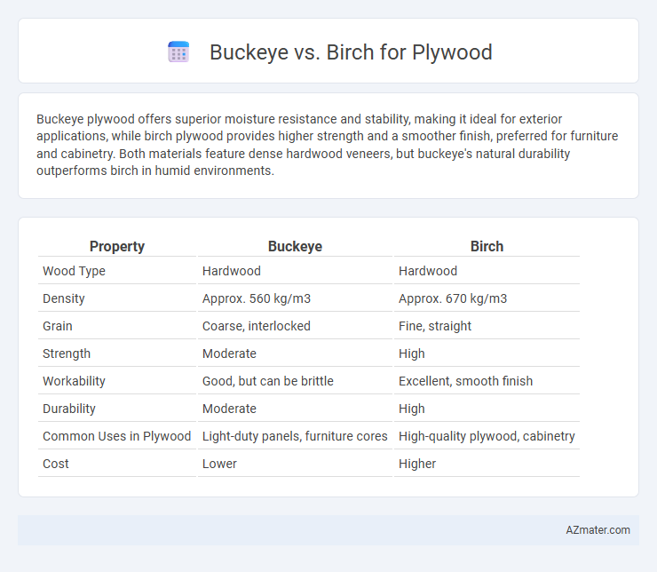 Buckeye vs. Birch for Plywood - What is The Difference?