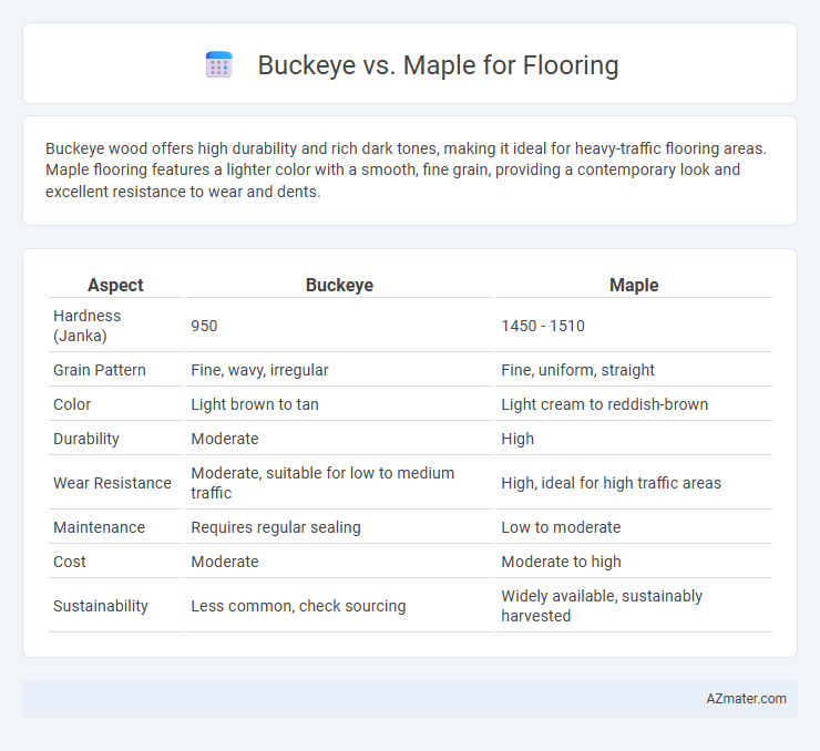 Buckeye vs. Maple for Flooring - What is The Difference?