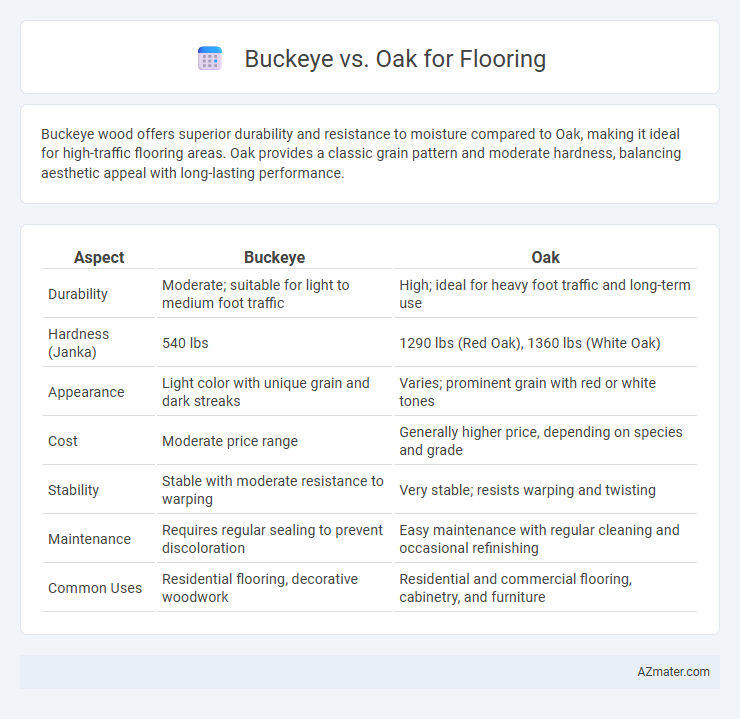 Buckeye vs. Oak for Flooring - What is The Difference?