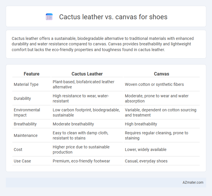 Cactus leather vs. canvas for shoes - What is The Difference?