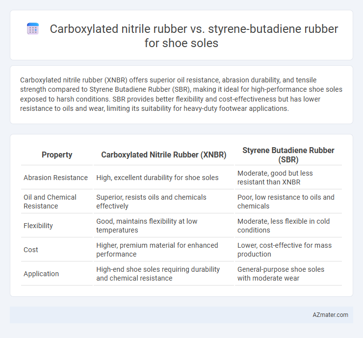 Carboxylated nitrile rubber vs. styrene-butadiene rubber for shoe soles - What is The Difference?