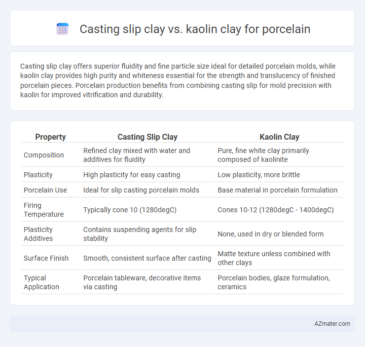 Casting slip clay vs. kaolin clay for porcelain - What is The Difference?