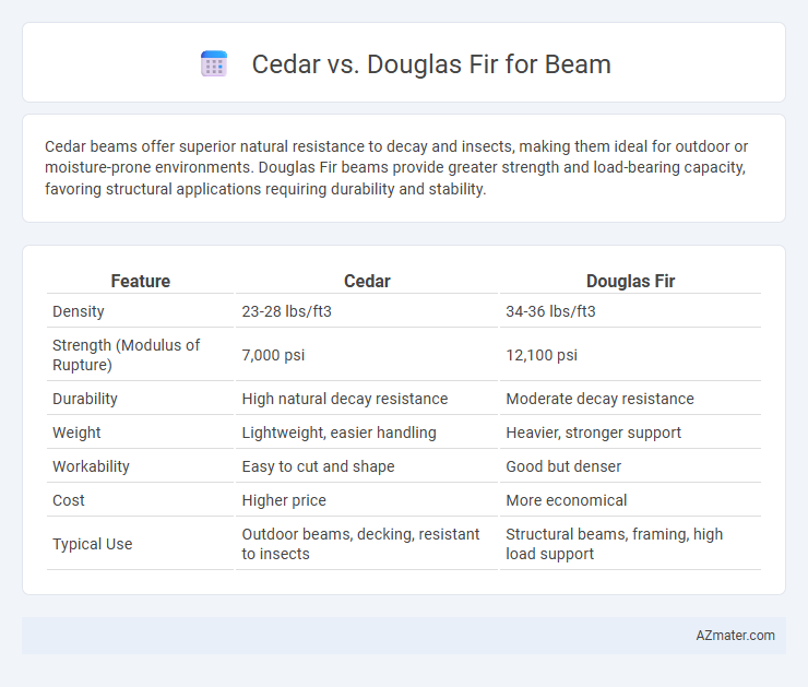 Cedar vs. Douglas Fir for Beam - What is The Difference?
