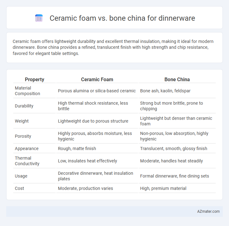 Ceramic foam vs. bone china for dinnerware - What is The Difference?