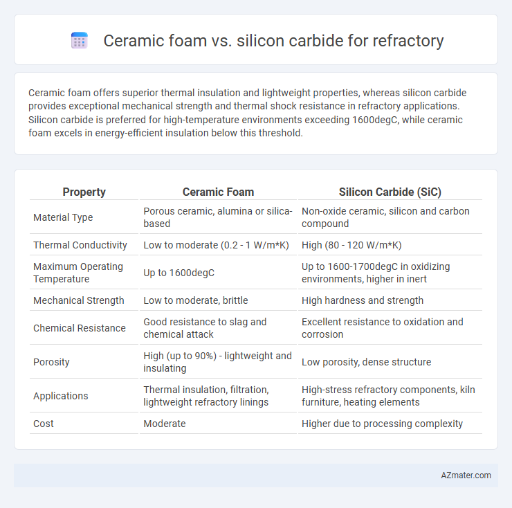 Ceramic foam vs. silicon carbide for refractory - What is The Difference?