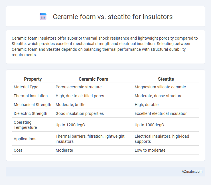 Ceramic foam vs. steatite for insulators - What is The Difference?