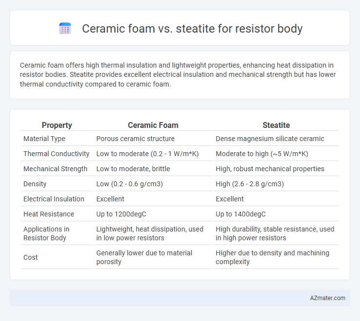 Ceramic foam vs. steatite for resistor body - What is The Difference?