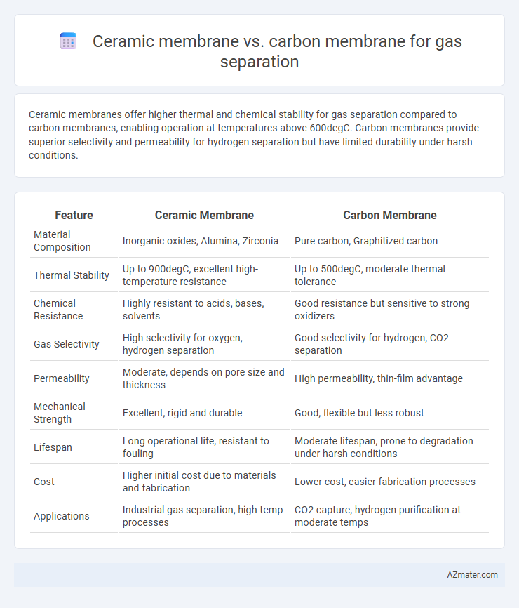 Ceramic membrane vs. carbon membrane for gas separation - What is The Difference?