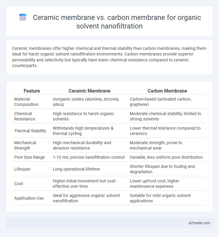 Ceramic membrane vs. carbon membrane for organic solvent nanofiltration - What is The Difference?