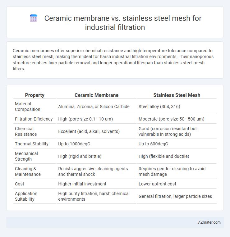 Ceramic membrane vs. stainless steel mesh for industrial filtration - What is The Difference?