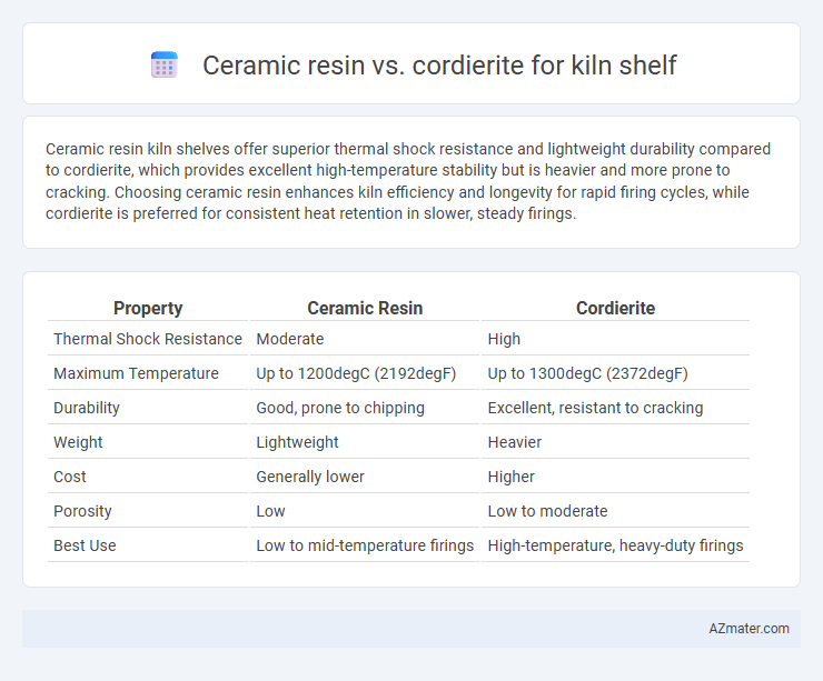 Ceramic resin vs. cordierite for kiln shelf - What is The Difference?