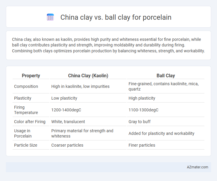China clay vs. ball clay for porcelain - What is The Difference?