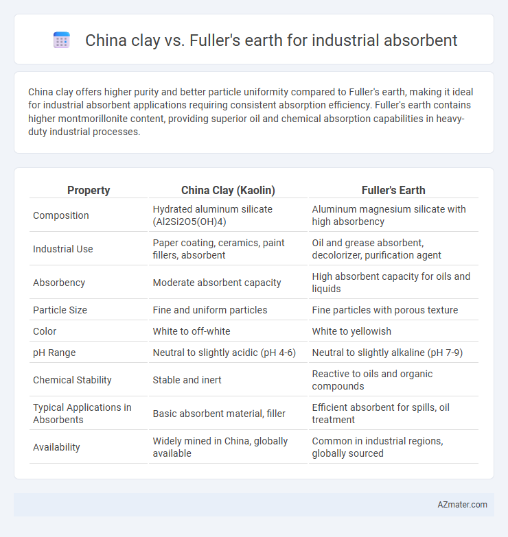 China clay vs. Fuller's earth for industrial absorbent - What is The Difference?