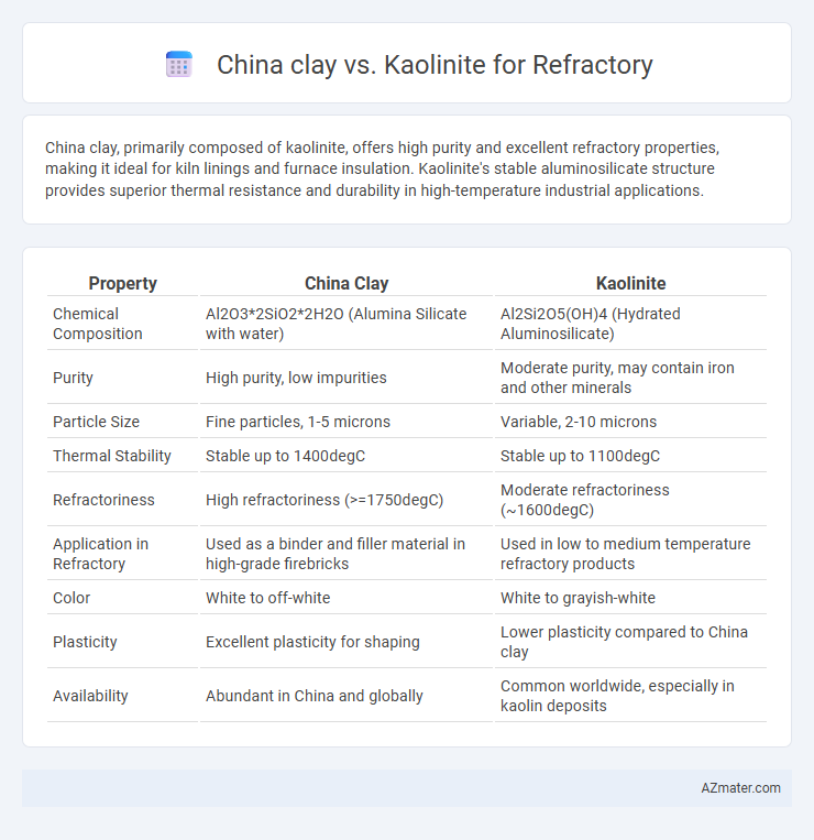 China clay vs. Kaolinite for Refractory - What is The Difference?