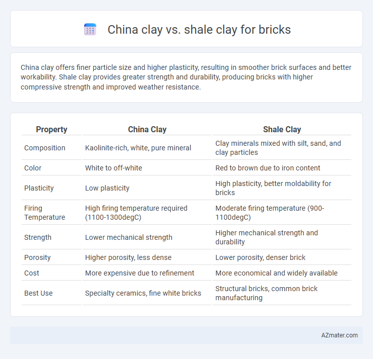 China clay vs. shale clay for bricks - What is The Difference?