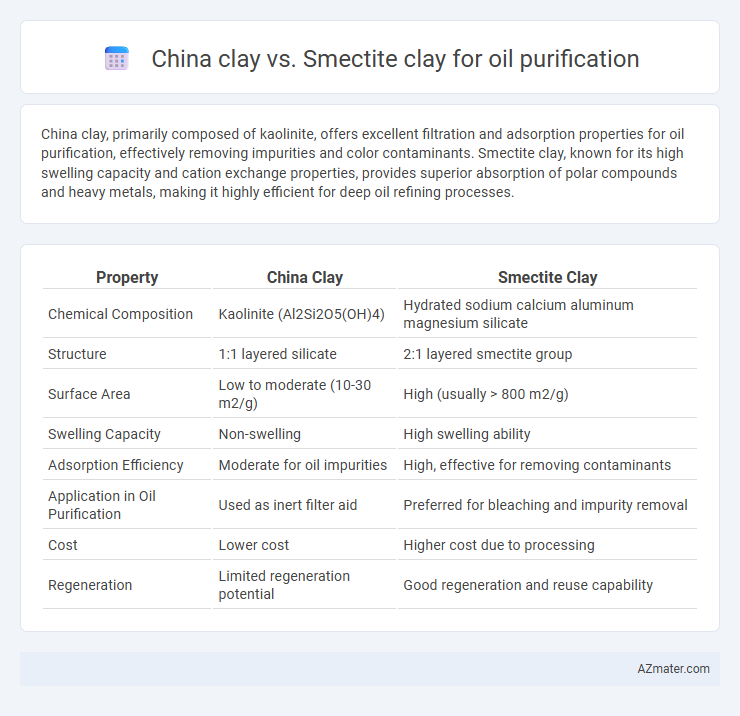 China clay vs. Smectite clay for oil purification - What is The Difference?