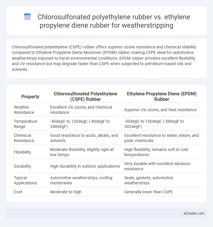 Chlorosulfonated polyethylene rubber vs. ethylene propylene diene rubber for weatherstripping - What is The Difference?