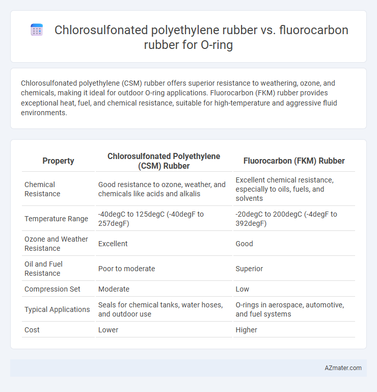 Chlorosulfonated polyethylene rubber vs. fluorocarbon rubber for O-ring - What is The Difference?
