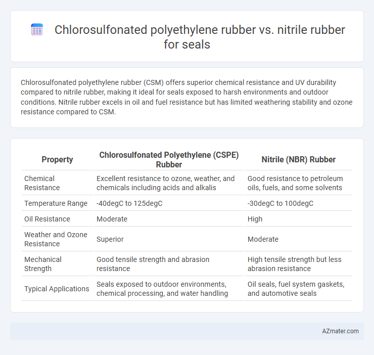 Chlorosulfonated polyethylene rubber vs. nitrile rubber for seals - What is The Difference?