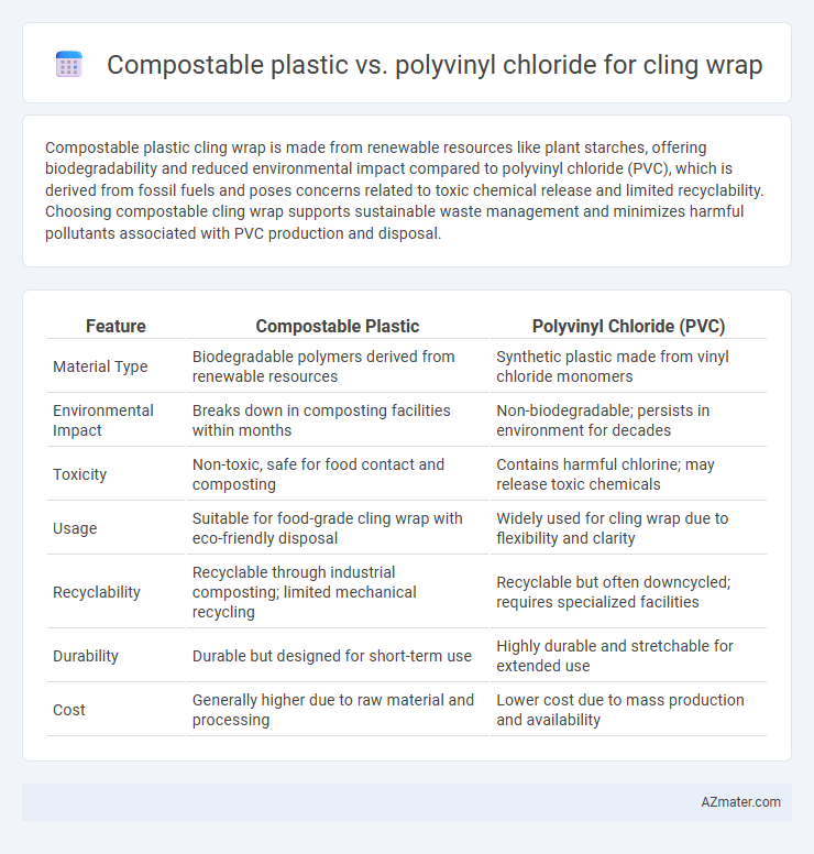 Compostable plastic vs. polyvinyl chloride for cling wrap - What is The Difference?