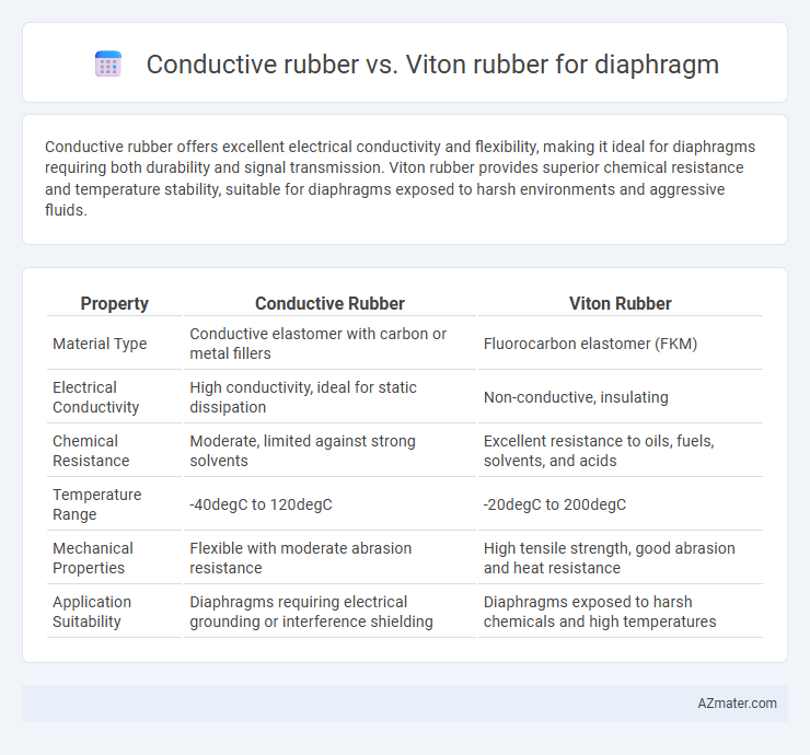 Conductive rubber vs. Viton rubber for diaphragm - What is The Difference?