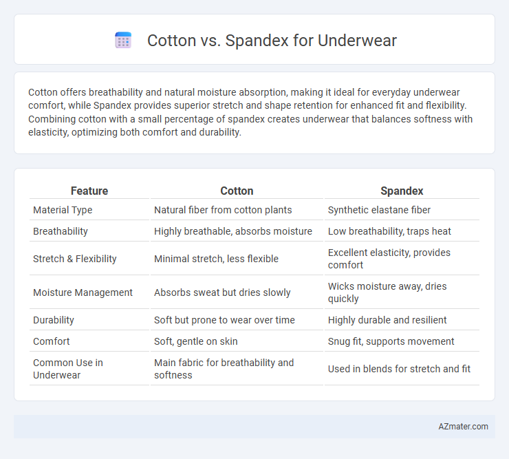 Cotton vs. Spandex for Underwear - What is The Difference?