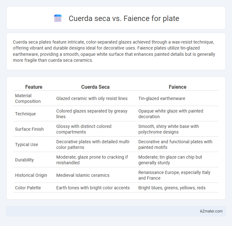 Cuerda seca vs. Faience for plate - What is The Difference?