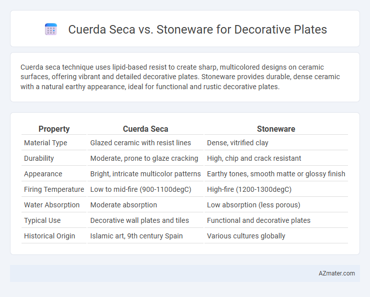Cuerda Seca vs. Stoneware for Decorative Plates - What is The Difference?