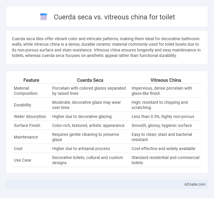 Cuerda seca vs. vitreous china for toilet - What is The Difference?