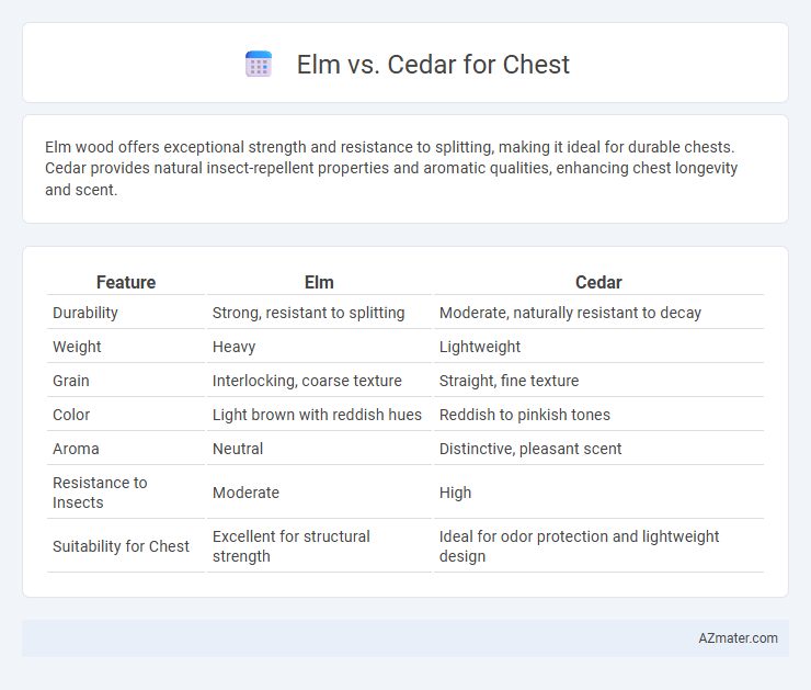 Elm vs. Cedar for Chest - What is The Difference?