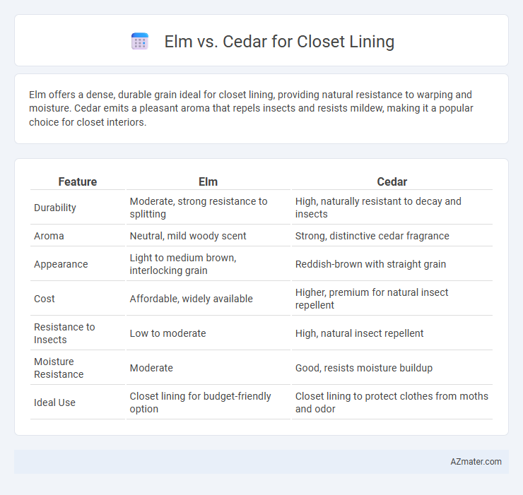 Elm vs. Cedar for Closet Lining - What is The Difference?