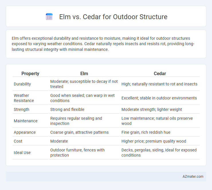 Elm vs. Cedar for Outdoor Structure - What is The Difference?