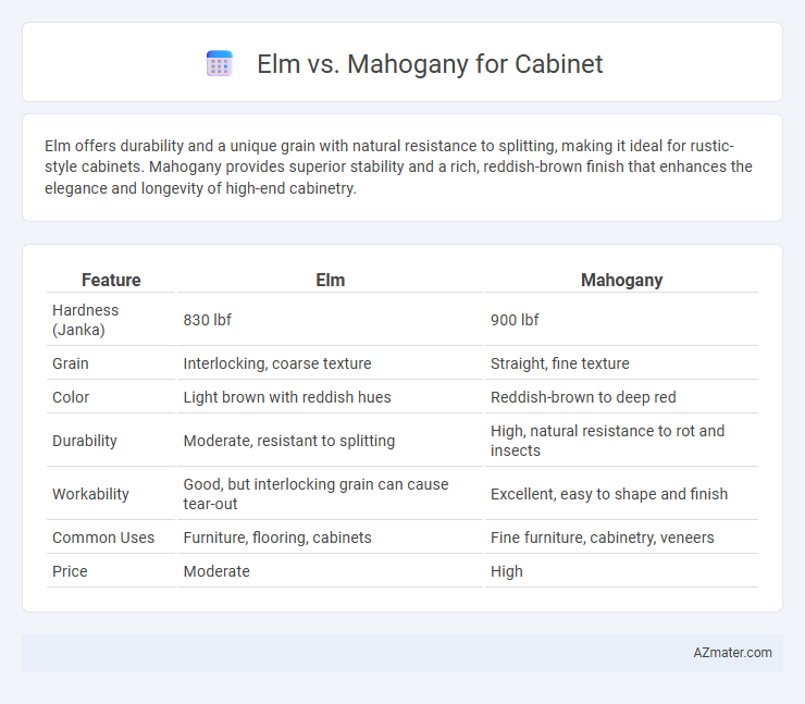Elm vs. Mahogany for Cabinet - What is The Difference?