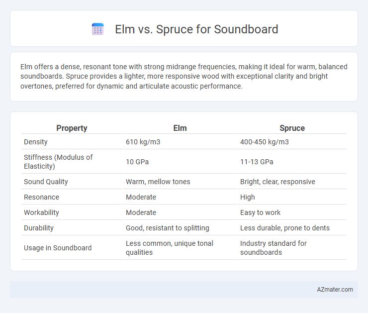 Elm vs. Spruce for Soundboard - What is The Difference?