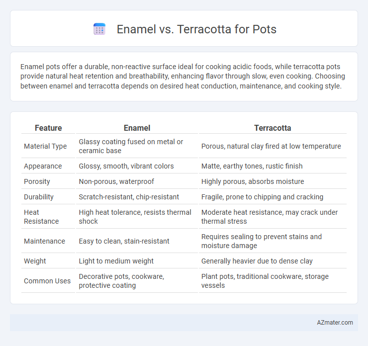Enamel vs. Terracotta for Pots - What is The Difference?