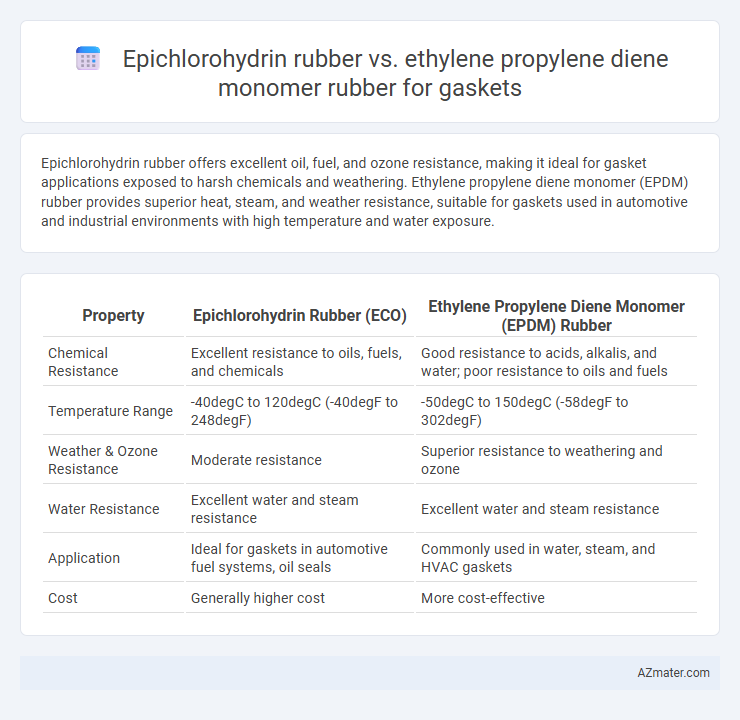 Epichlorohydrin rubber vs. ethylene propylene diene monomer rubber for gaskets - What is The Difference?
