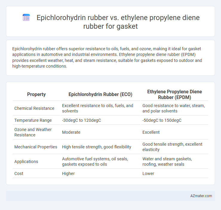 Epichlorohydrin rubber vs. ethylene propylene diene rubber for gasket - What is The Difference?
