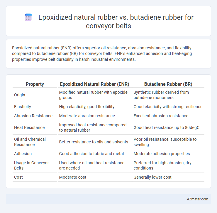 Epoxidized natural rubber vs. butadiene rubber for conveyor belts - What is The Difference?