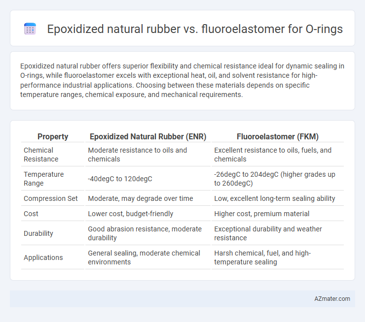 Epoxidized natural rubber vs. fluoroelastomer for O-rings - What is The Difference?